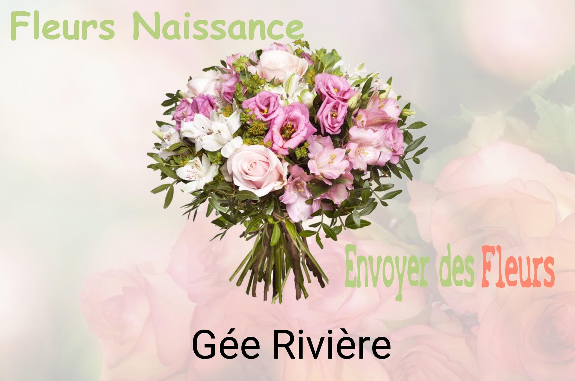 Bouquet de fleurs de naissance livré à Gée-Rivière